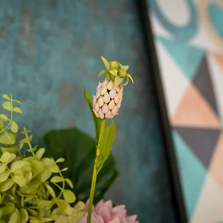 Urban Elegance - Stylish *