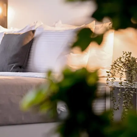 Urban Elegance - Stylish *